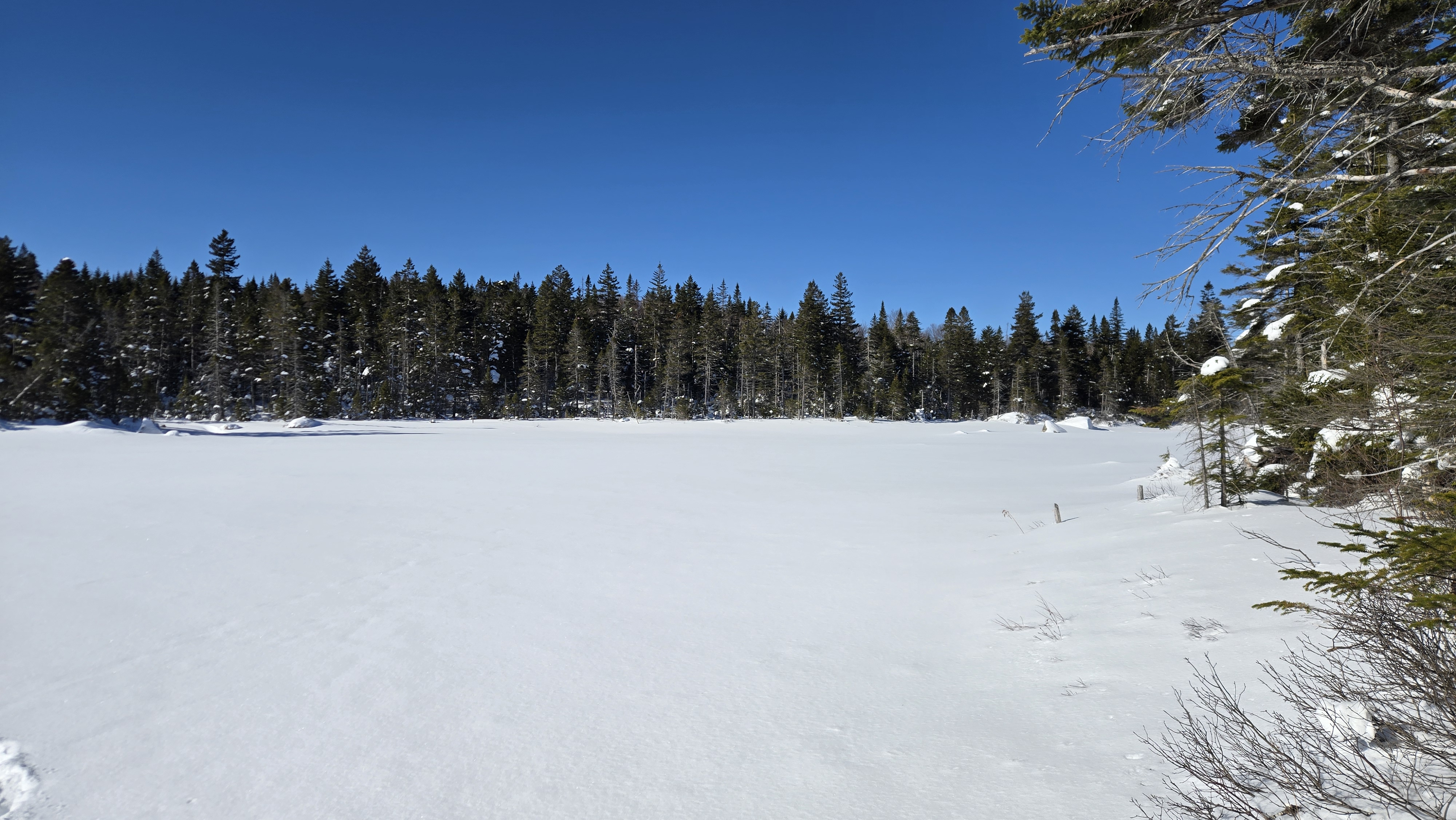 Winter trail with stroller ski